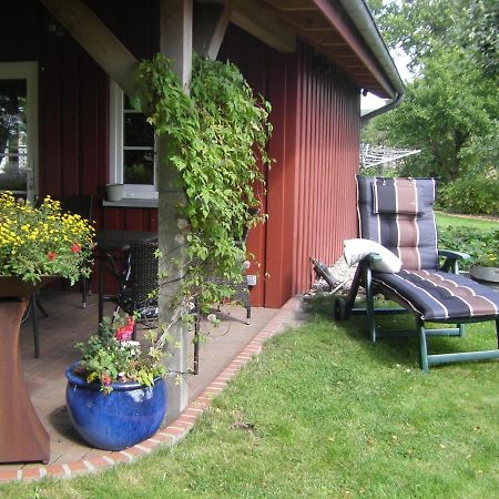 Ferienhaus Staben Eggstedt Buitenkant foto