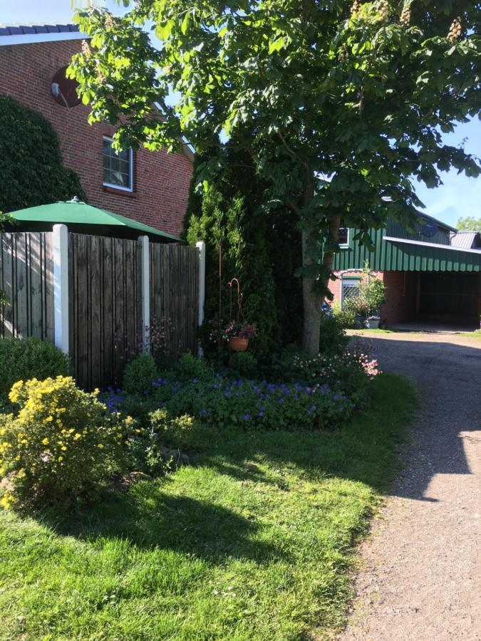 Ferienhaus Staben Eggstedt Buitenkant foto